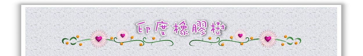 印度橡膠樹
