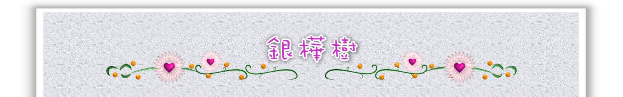銀樺樹